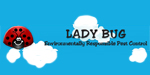 Lady Bug Franchise