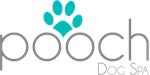 Pooch Dog Spa