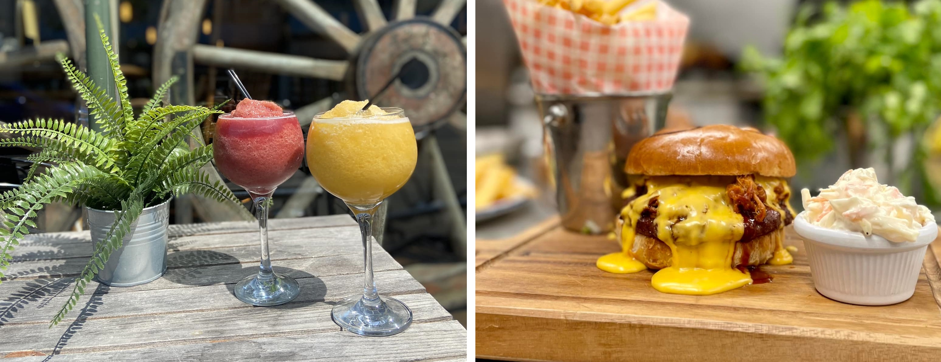 Cactus Jacks Restaurant Franchise available in Norwich, Restaurant