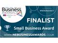 Lingotot are through the to final in the North East Business Awards for ‘Small Business of the Year’