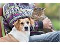 OSCAR Pet Foods - Celebrating National Pet Month