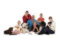 A New Look Pet Food