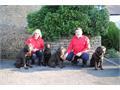 Steve & Jill Tubbs - Chippenham, Wiltshire - Start Date: January 2008