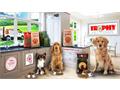 This autumn sees Trophy Pet Foods launch a brand new website with a fresh modern look