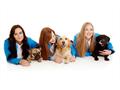 It’s a Dog’s Life for Our New Barking Mad Business Owners